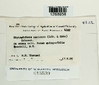 Image Associated With the Occurrence