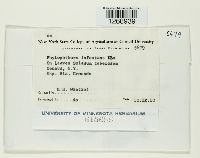 Image Associated With the Occurrence