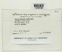 Image Associated With the Occurrence