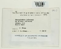 Image Associated With the Occurrence