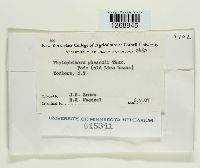 Image Associated With the Occurrence