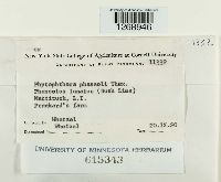 Image Associated With the Occurrence