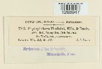 Image Associated With the Occurrence