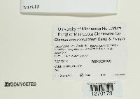 Image Associated With the Occurrence