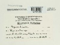 Image Associated With the Occurrence