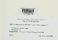 Image Associated With the Occurrence