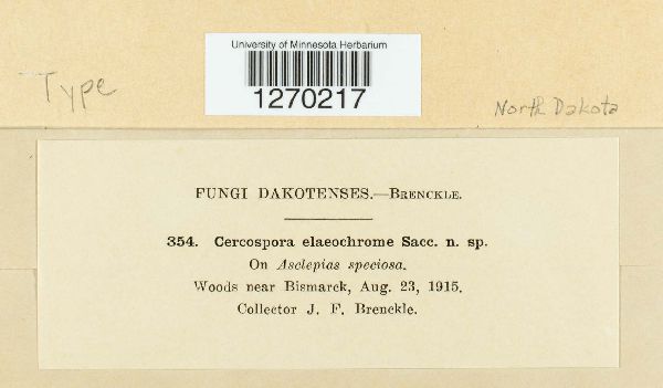 Cercospora elaeochrome image