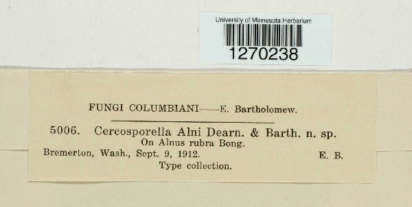 Cercospora alni image