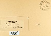 Media resource of Claviceps cinereum