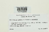 Image Associated With the Occurrence