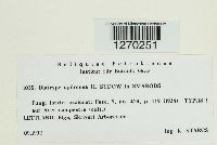 Image Associated With the Occurrence