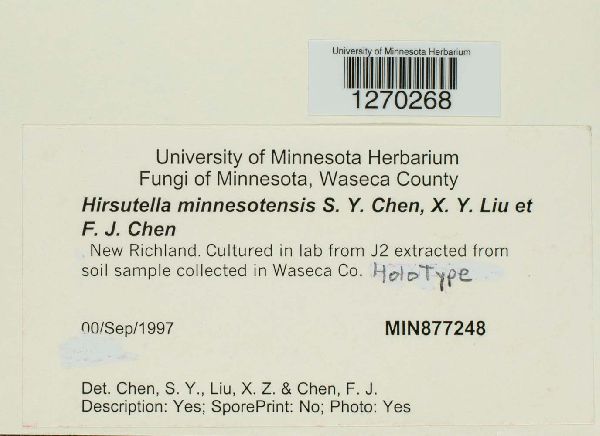 Hirsutella minnesotensis image