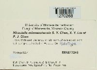 Image Associated With the Occurrence