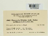 thumbnail image of current specimen
