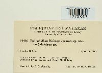 thumbnail image of current specimen