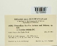 thumbnail image of current specimen