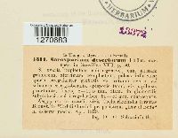 Image Associated With the Occurrence