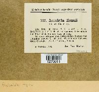 Ascochyta humuli image