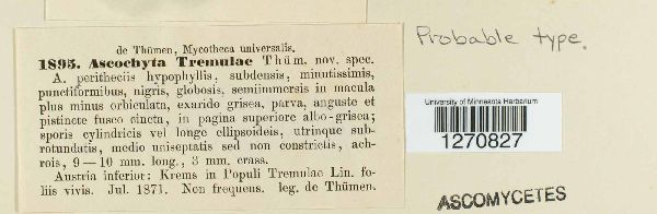 Ascochyta tremulae image