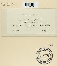 Image Associated With the Occurrence