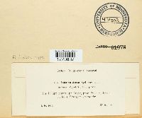 Image Associated With the Occurrence