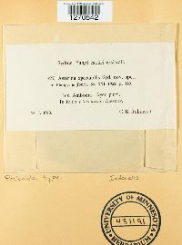 Image Associated With the Occurrence