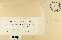 Image Associated With the Occurrence