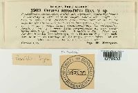 Image Associated With the Occurrence