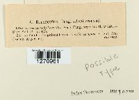 Image Associated With the Occurrence