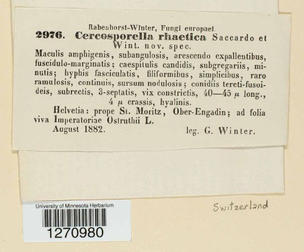 Cercosporella rhaetica image