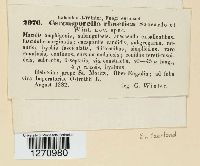 Image Associated With the Occurrence