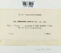 Image Associated With the Occurrence