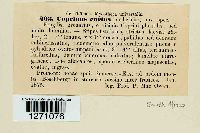 Image Associated With the Occurrence