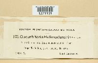 Image Associated With the Occurrence