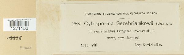 Cytosporina serebrianikowii image