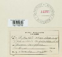 Image Associated With the Occurrence