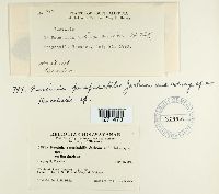 Image Associated With the Occurrence