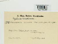 Media resource of Coleosporium asterum