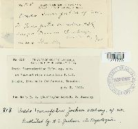 Image Associated With the Occurrence