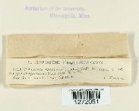 Cerioporus squamosus image