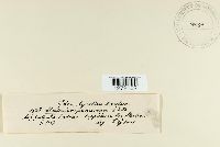 Media resource of Chaetomium elatum