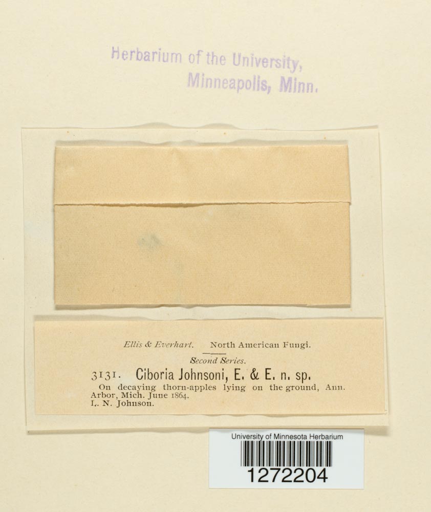 Monilinia johnsonii image