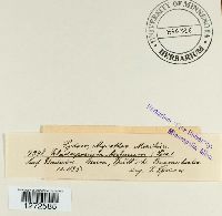 Image Associated With the Occurrence