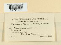 Media resource of Cladotrichum leersiae