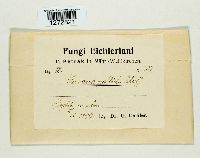 Image Associated With the Occurrence