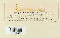 Image Associated With the Occurrence