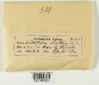 thumbnail image of current specimen