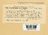 Media resource of Corticium acerinum