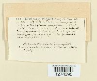 Image Associated With the Occurrence