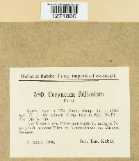 Image Associated With the Occurrence